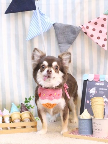 20250521ルアちゃん